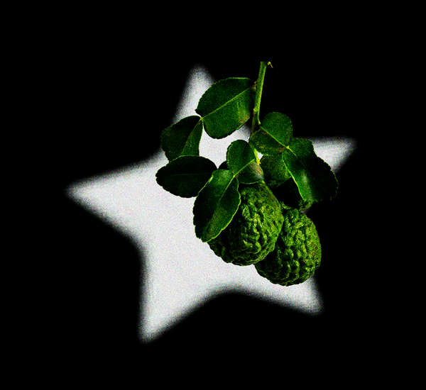 Bergamot oil