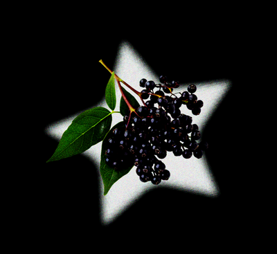 CHOKEBERRY POWDER