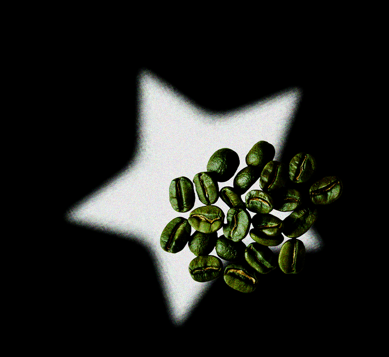 Green coffee bean oil