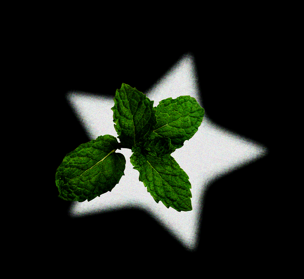 peppermint oil